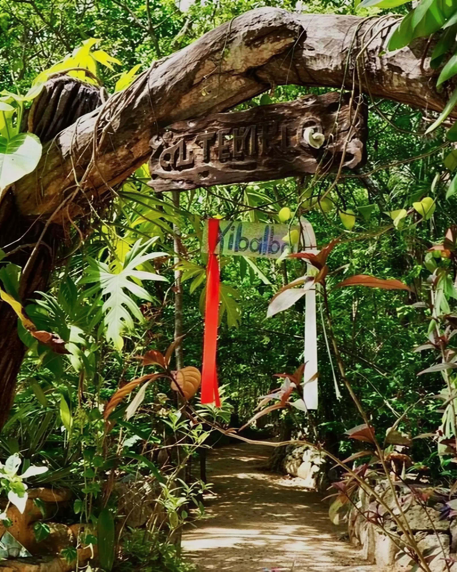 Ayahuasca-retreat i Mexico