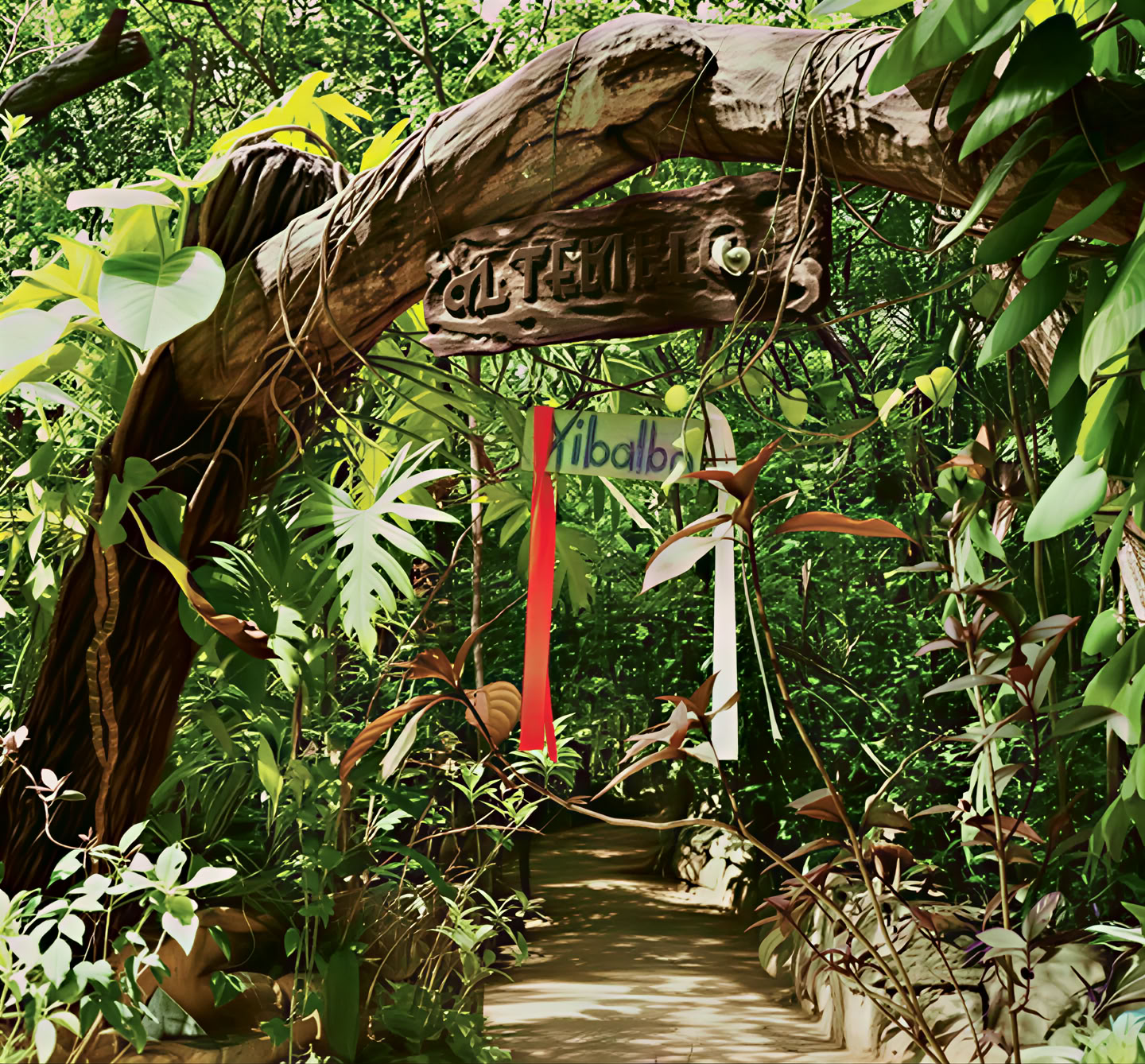 Ayahuasca-retreat i Mexico