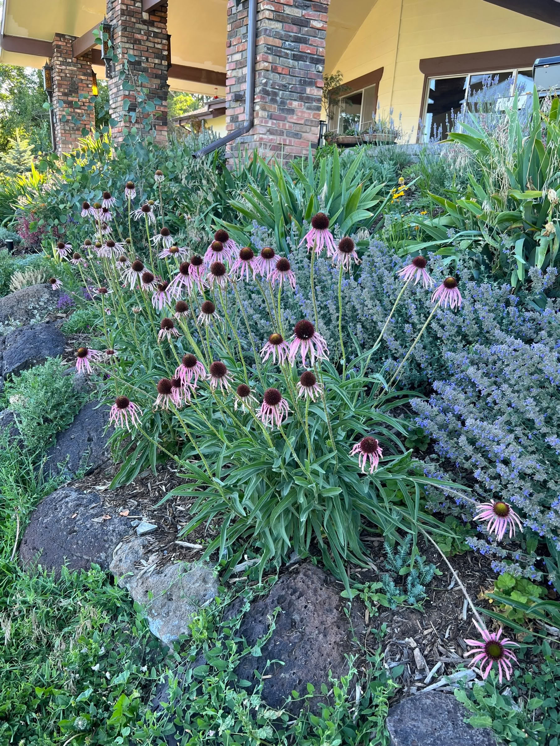 Colorado vejrtrækningsretreat
