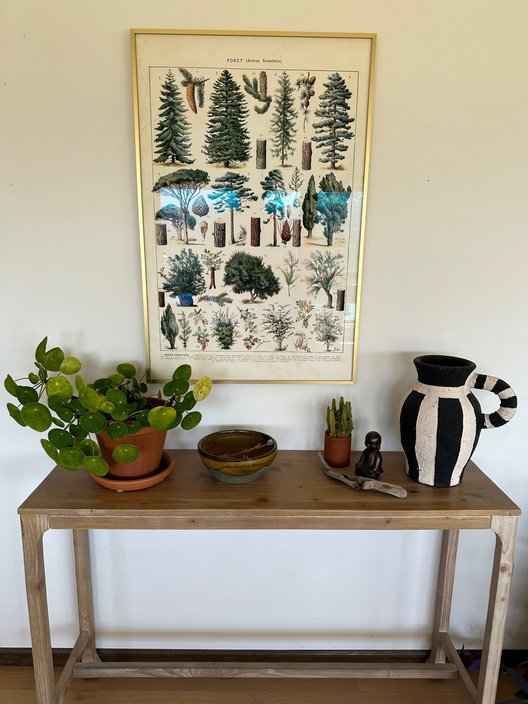 Colorado vejrtrækningsretreat