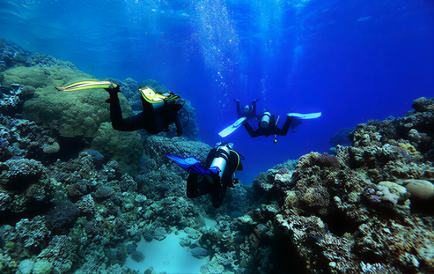 Avanceret åbent vand-dykker