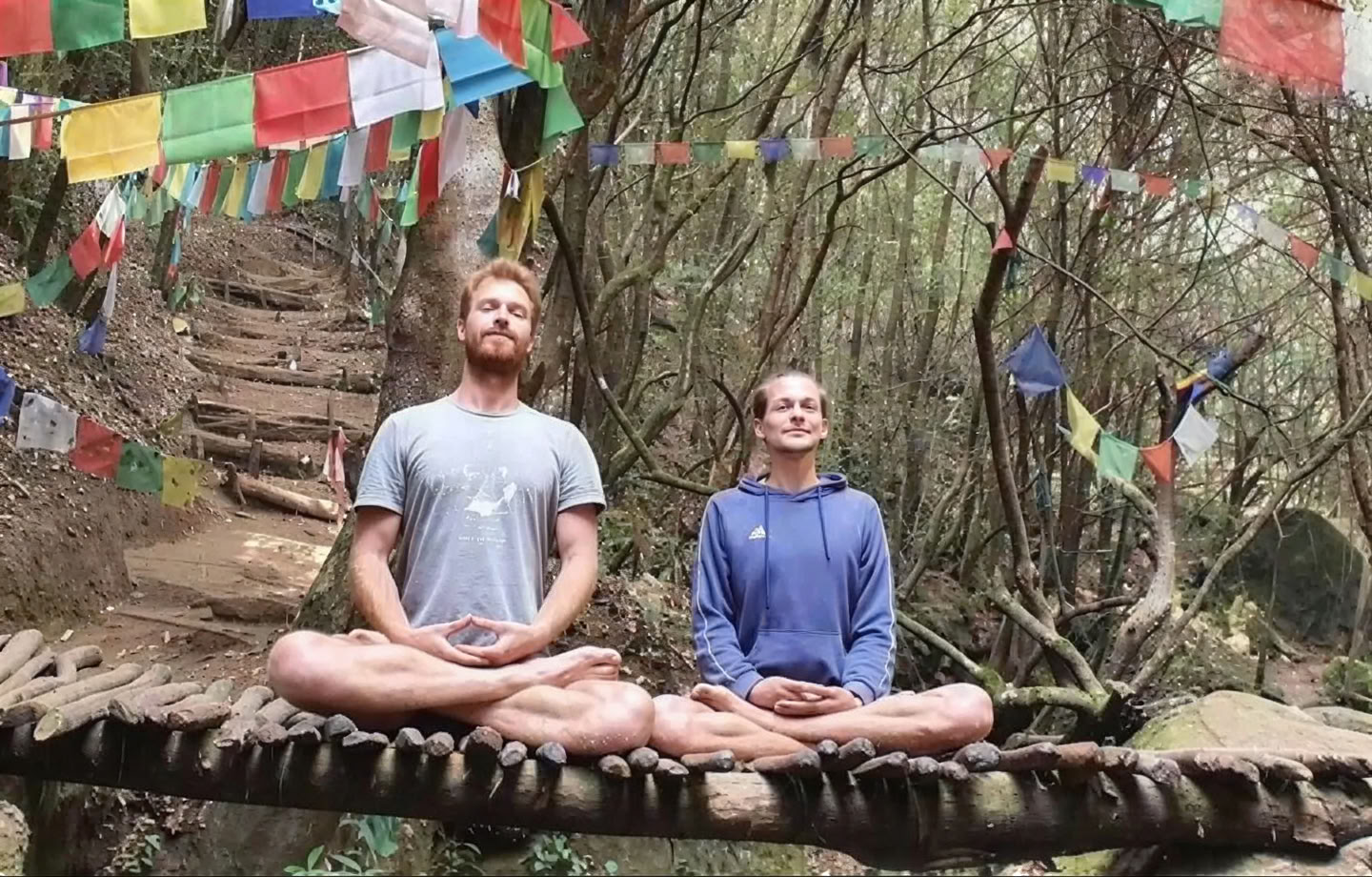 Professionelt meditationskursus