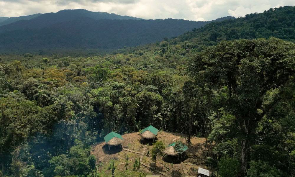 Ayahuasca-initieringsretreat: 7 og 14 dage – 10.-31. januar 2027