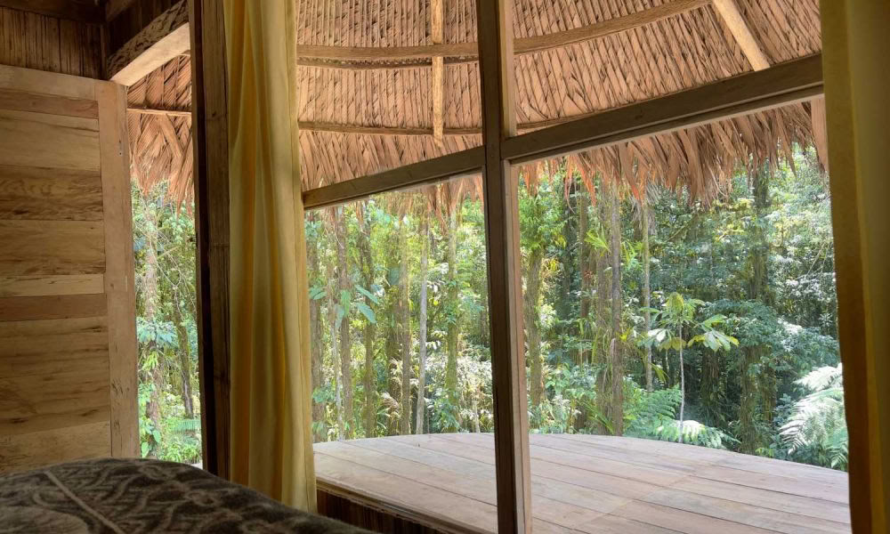 Ayahuasca-initieringsretreat: 7 og 14 dage – 10.-31. januar 2027