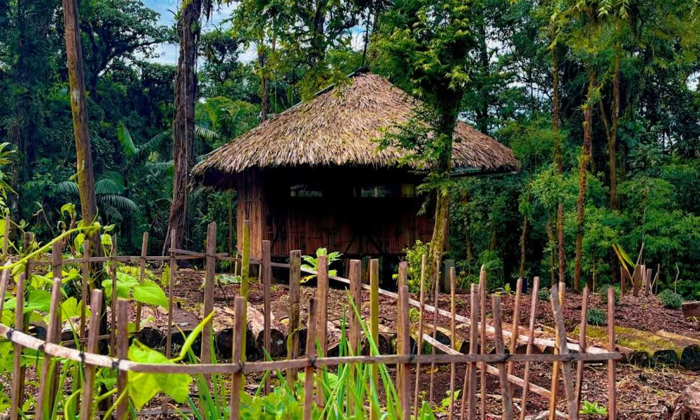 Ayahuasca-initieringsretreat: 7 og 14 dage – 10.-31. januar 2027