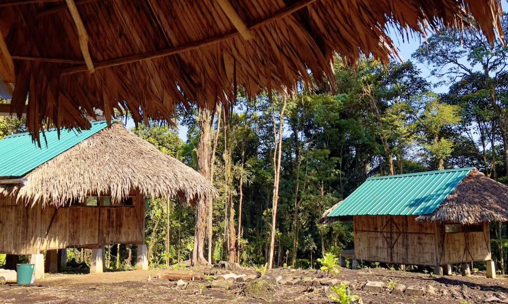 Ayahuasca-indvielsesretreat: 7 og 14 dage – 3.-24. februar 2027