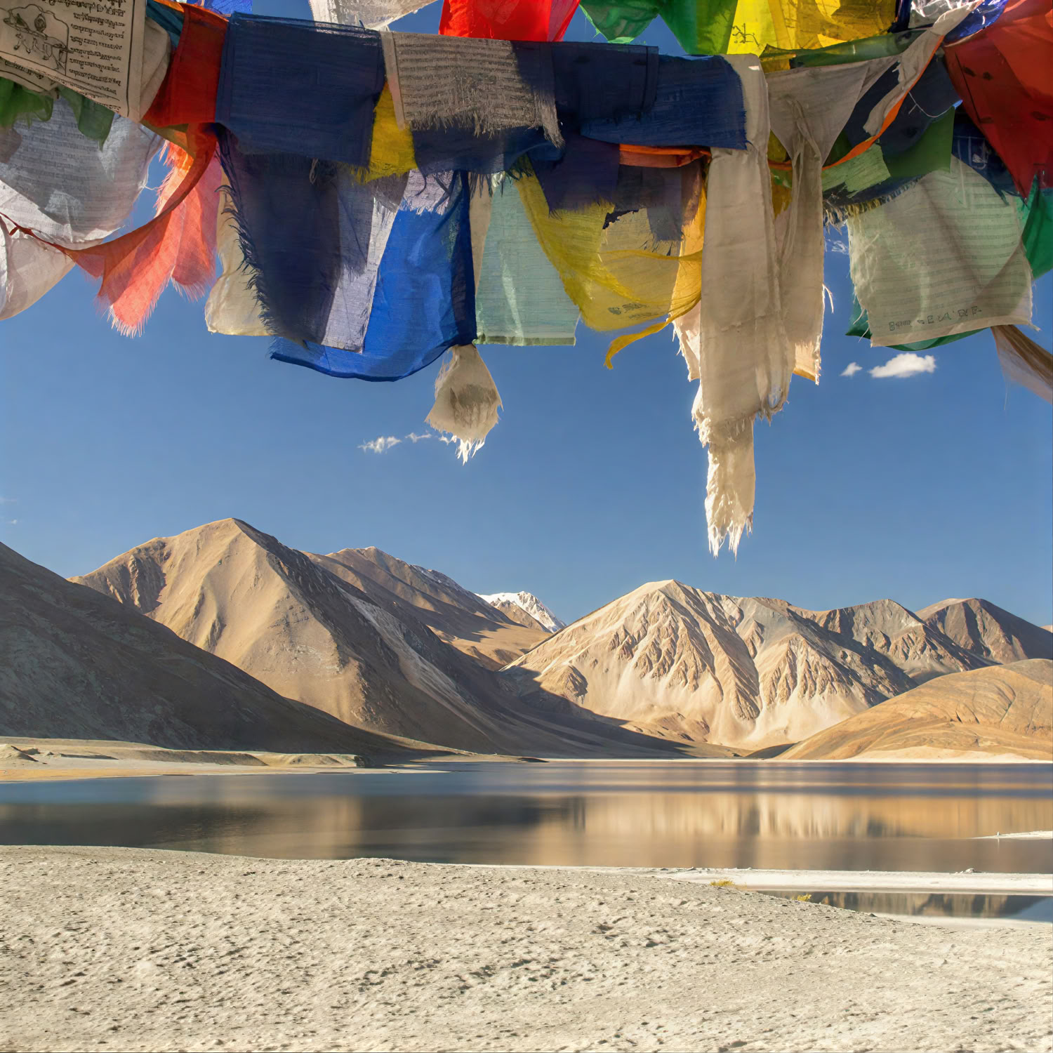 Fra paradis til plateauet: vejrejse fra Kashmir til Ladakh