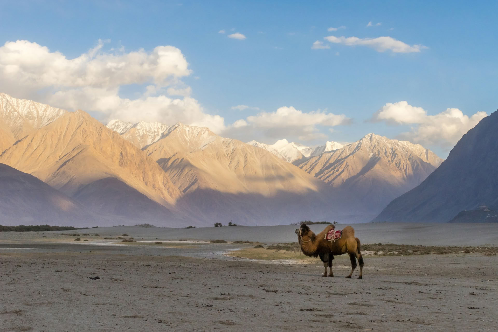 Fra paradis til plateauet: vejrejse fra Kashmir til Ladakh