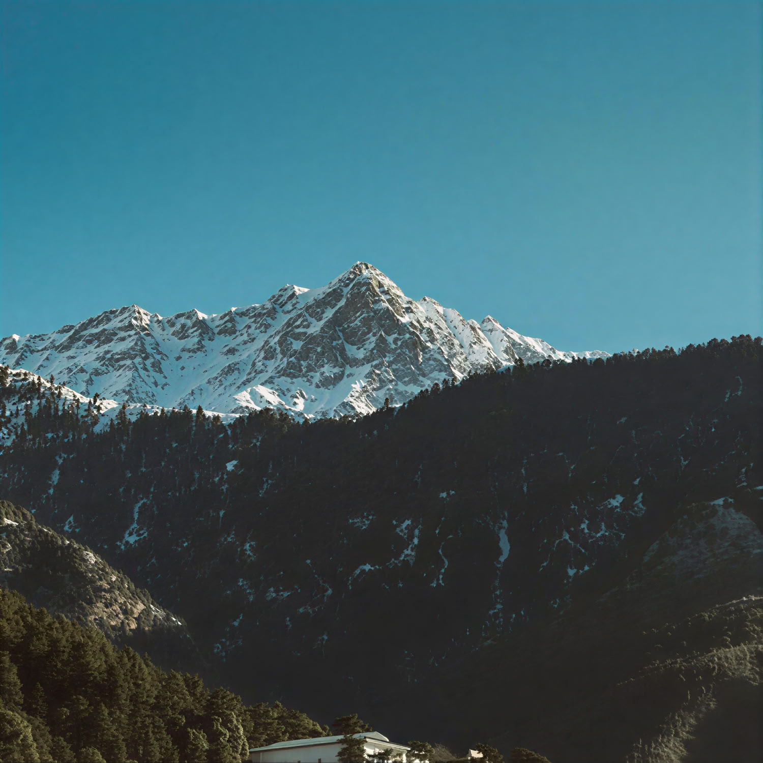 Fra hellige bakker til gyldne horisonter: Dharamshala-, Dalhousie- og Amritsar-ruten