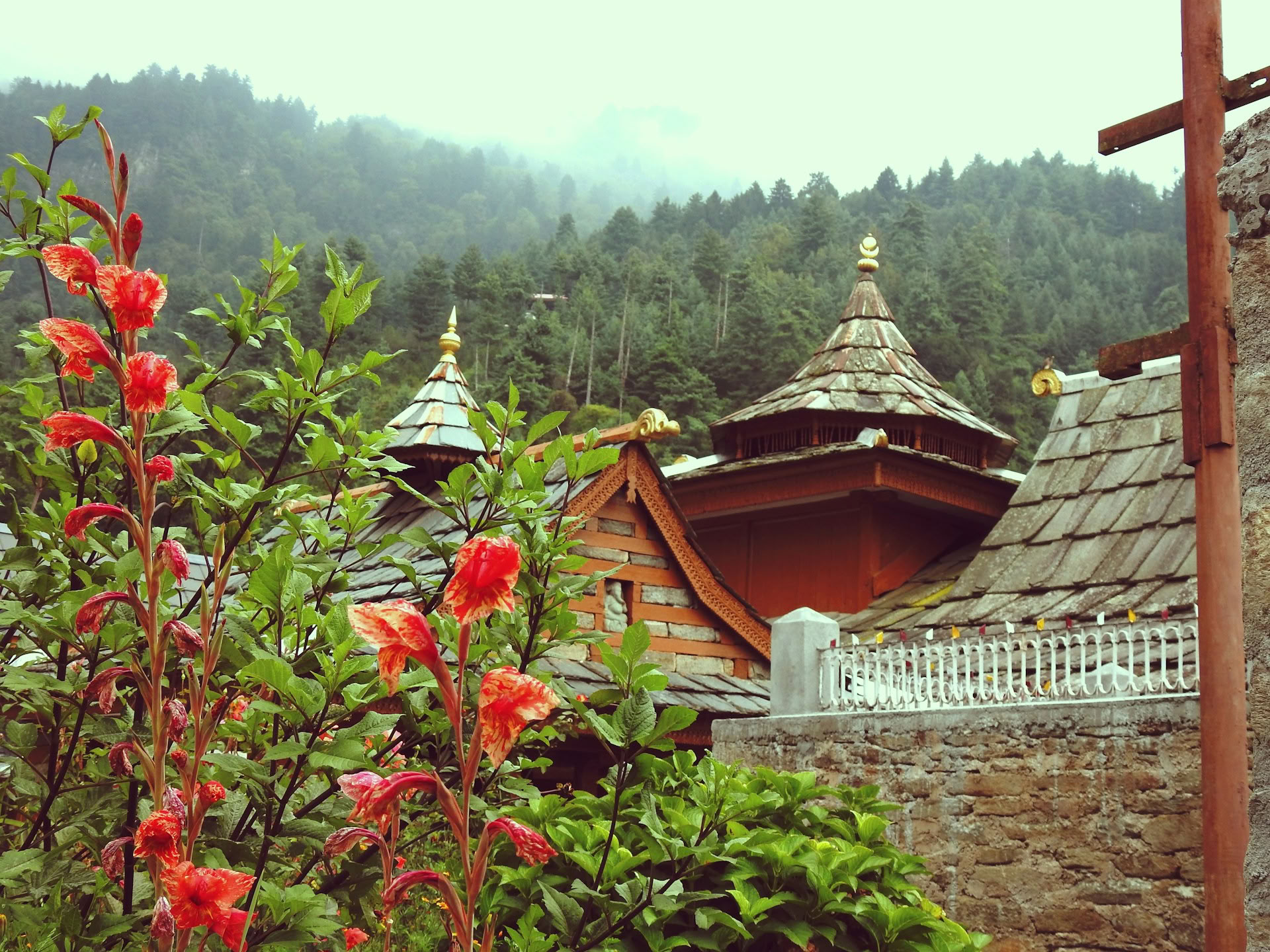 Fra frugtplantager til alpine dale: Thanedar- og Sangla-himalayarejse