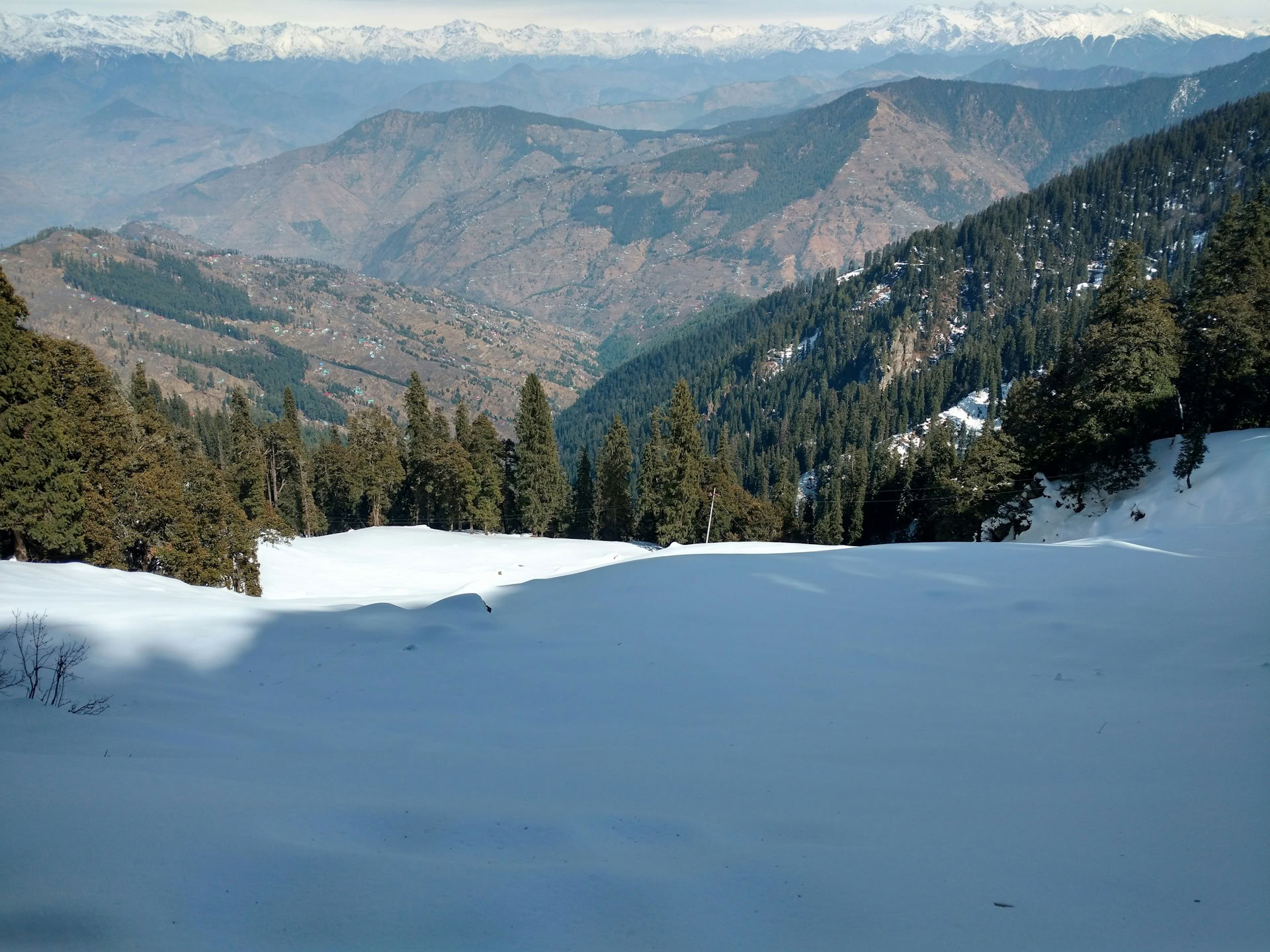 Fra frugtplantager til skovstier: Thanedar, Sojha og Tirthan – en rolig himalayisk flugt