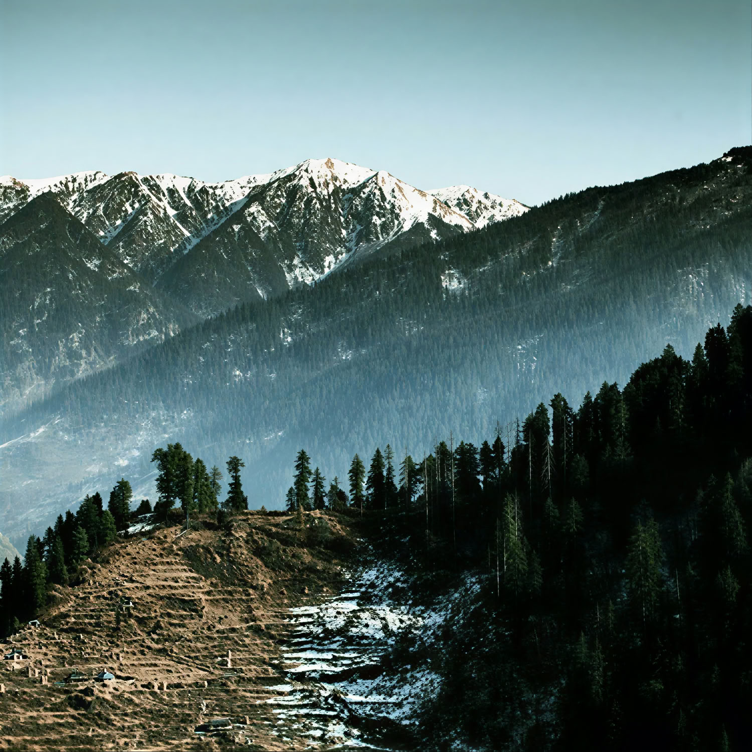 Fra frugtplantager til skovstier: Thanedar, Sojha og Tirthan – en rolig himalayisk flugt