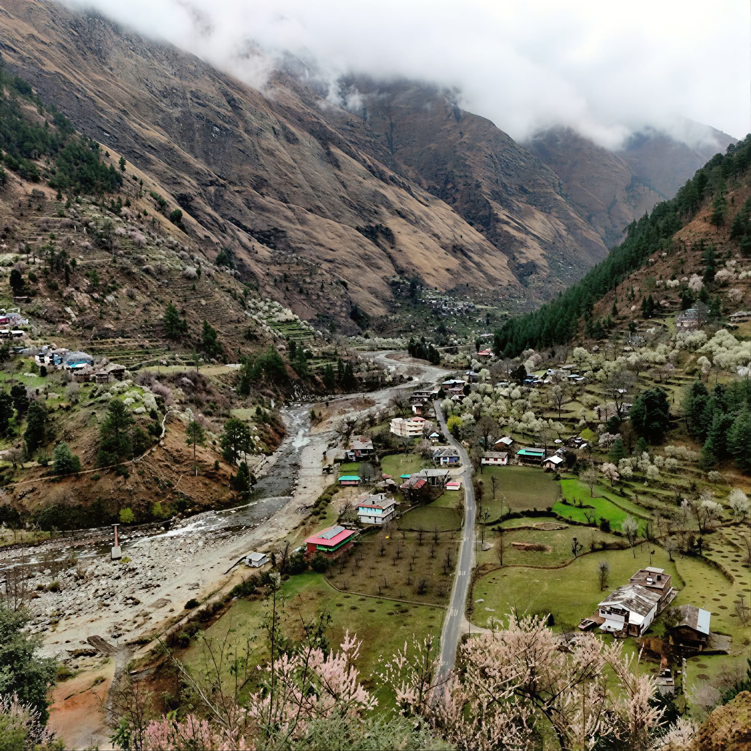 Skovstier til skjulte landsbyer: Sojha, Tirthan og Sonaugi Himalaya-retreat