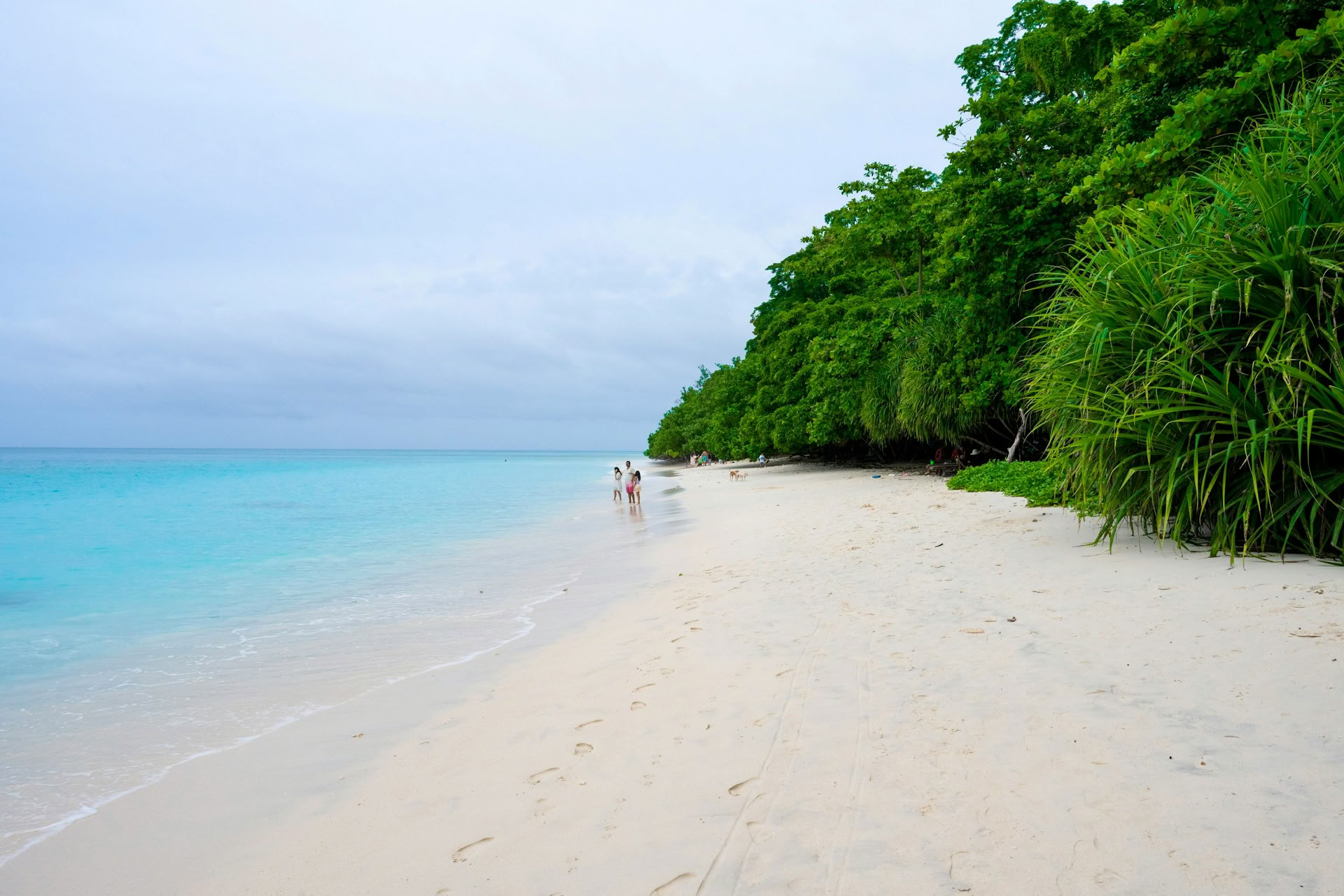 Azur Andaman-flugt: Port Blair- og Havelock-retreat