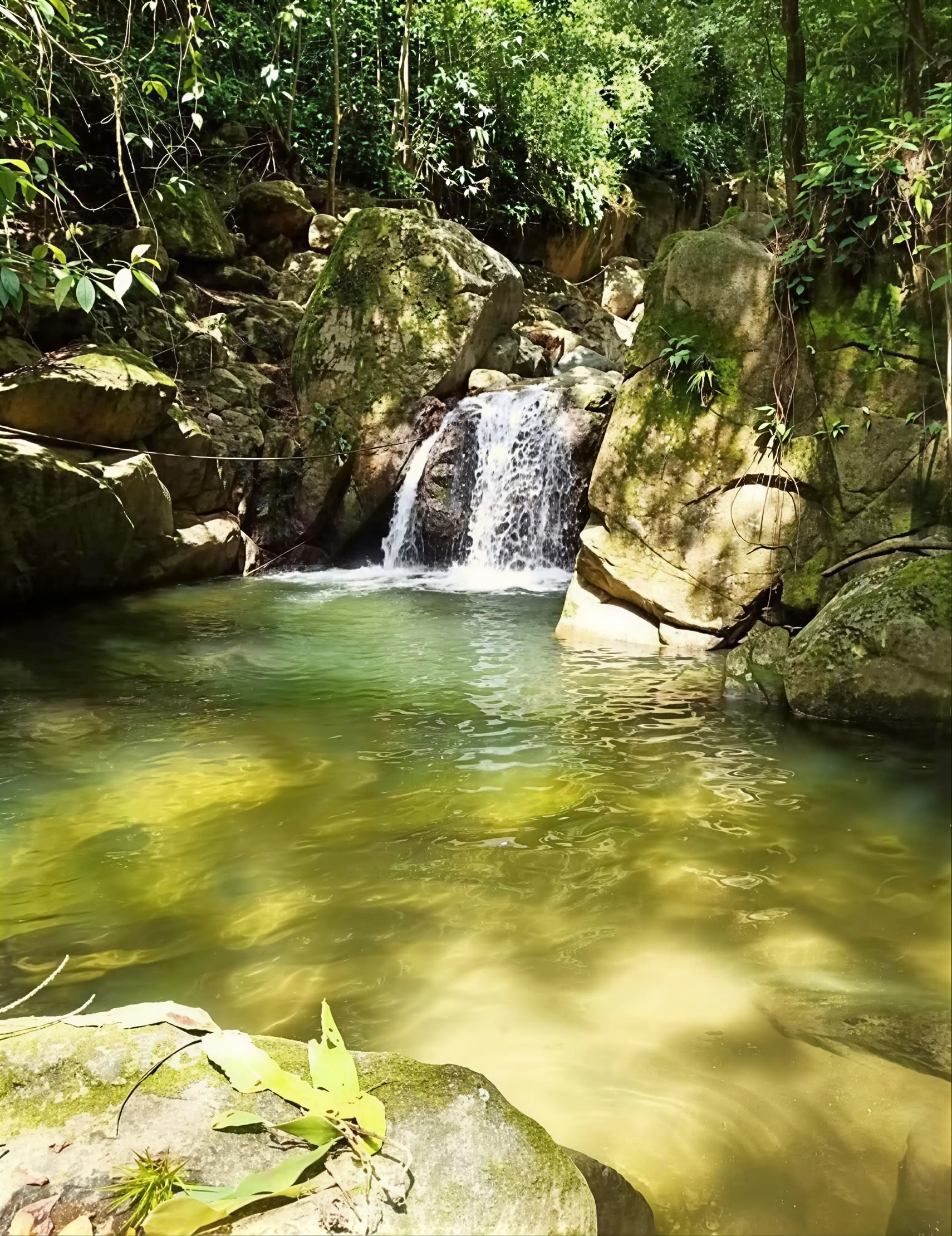 Hellig Ayahuasca-retreat i Santa Marta, Colombia