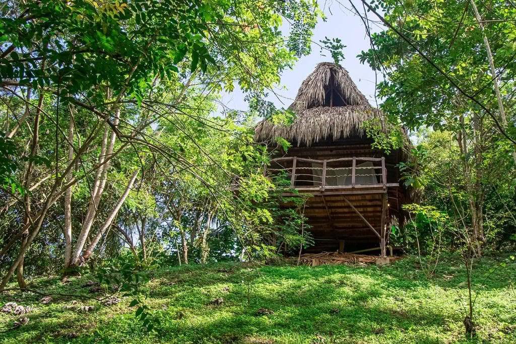 Hellig Ayahuasca-retreat i Santa Marta, Colombia