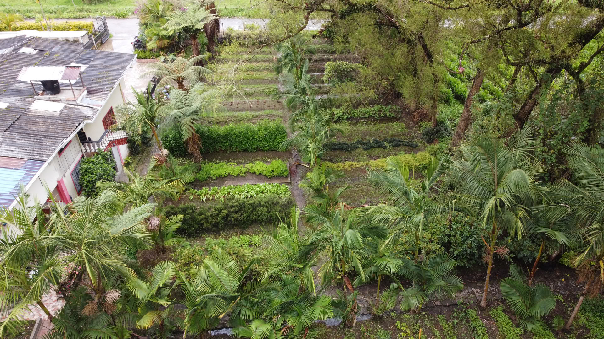 Hellig Ayahuasca-retreat i Santa Marta, Colombia