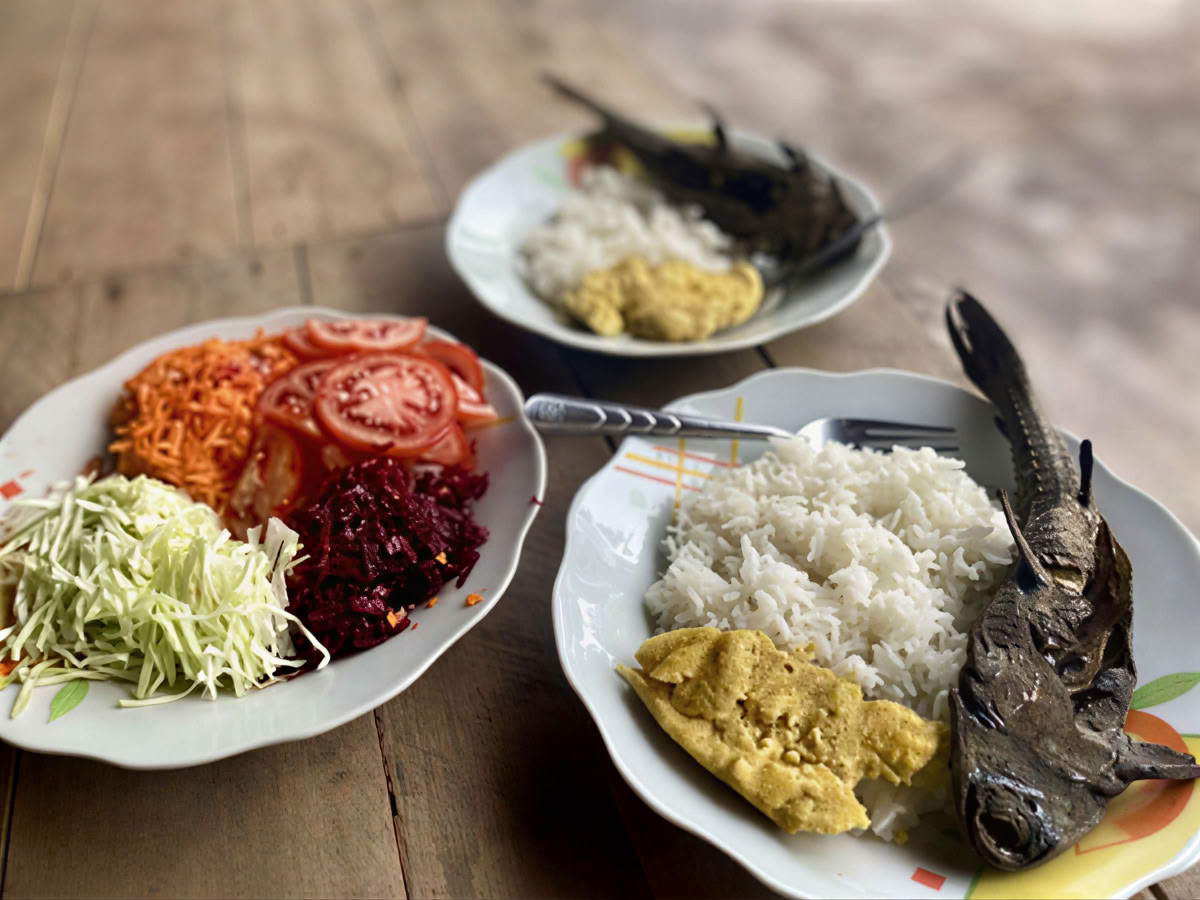 Mesterplantedieta og plantemedicin fra ånder