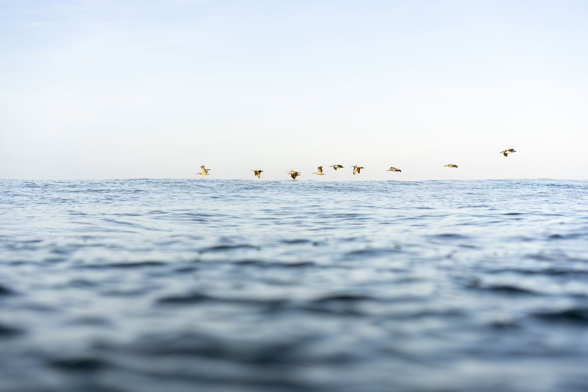 Ren tilstedeværelse yoga-retreat