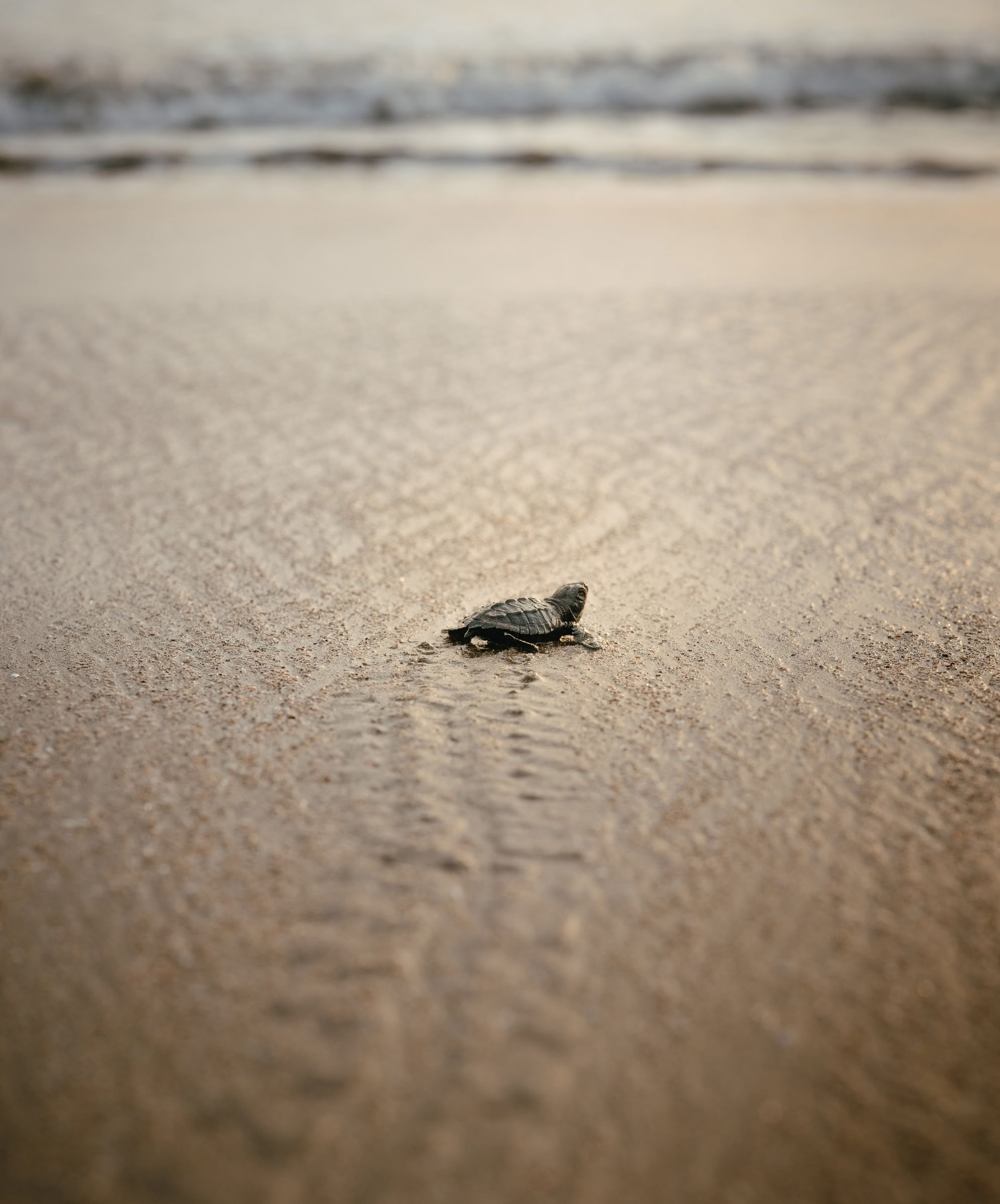 Solrum Yoga-retreat
