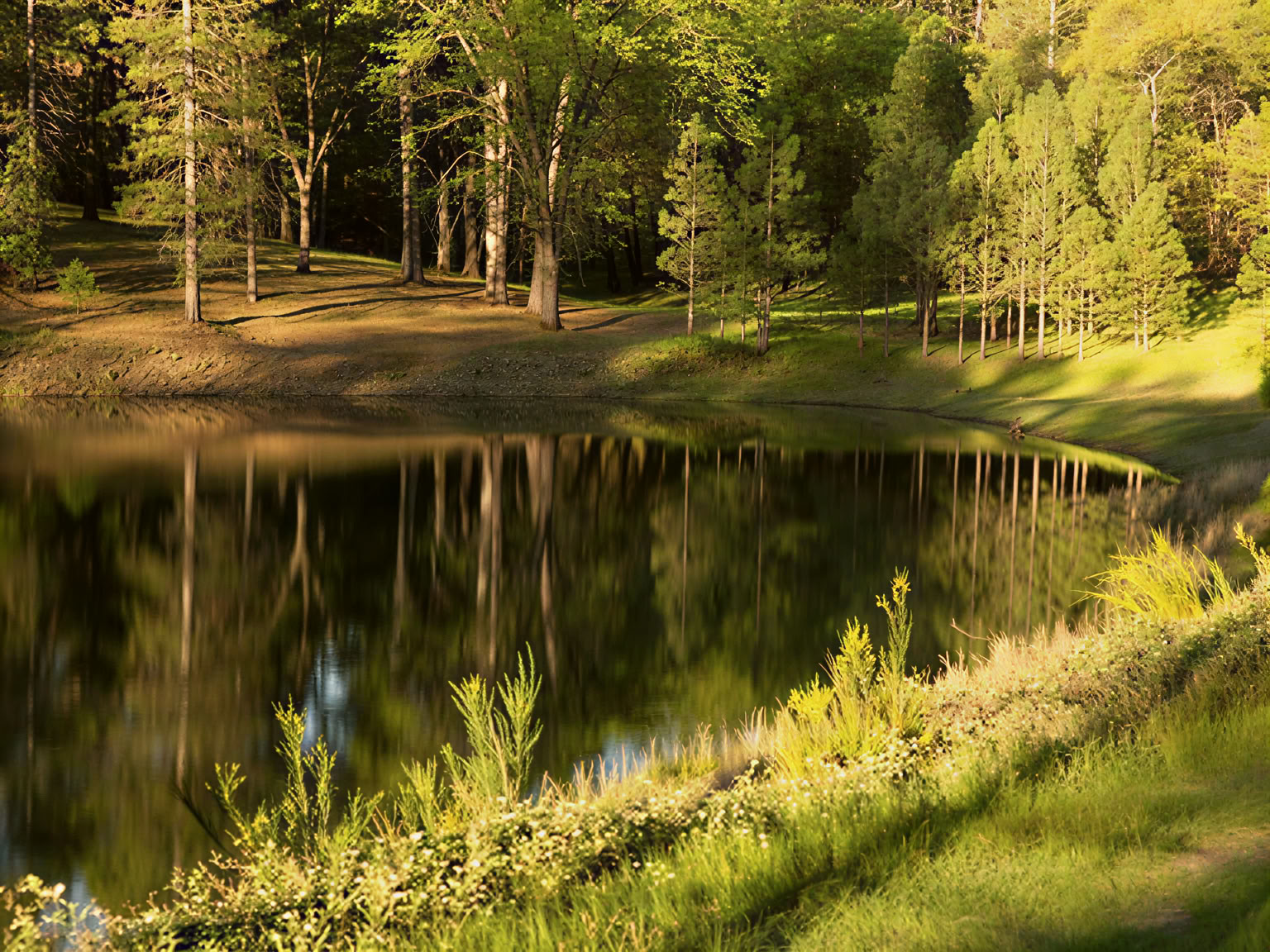 Det Udvidende Lys Retreat