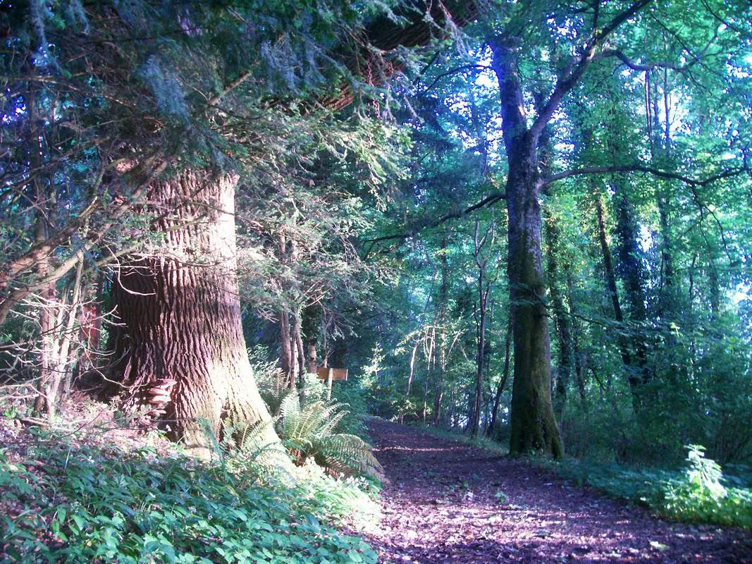 Weekendretreats i Irland