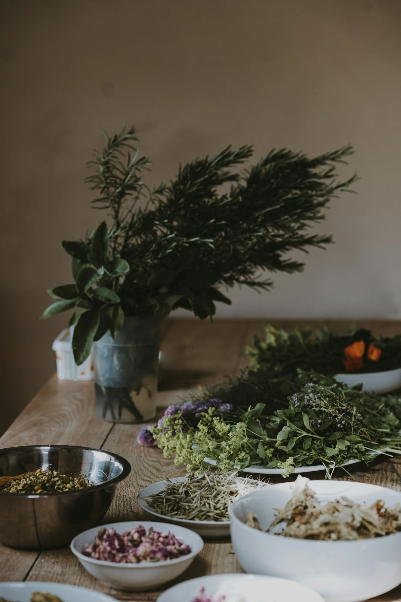 Levende Ayurveda-retreat
