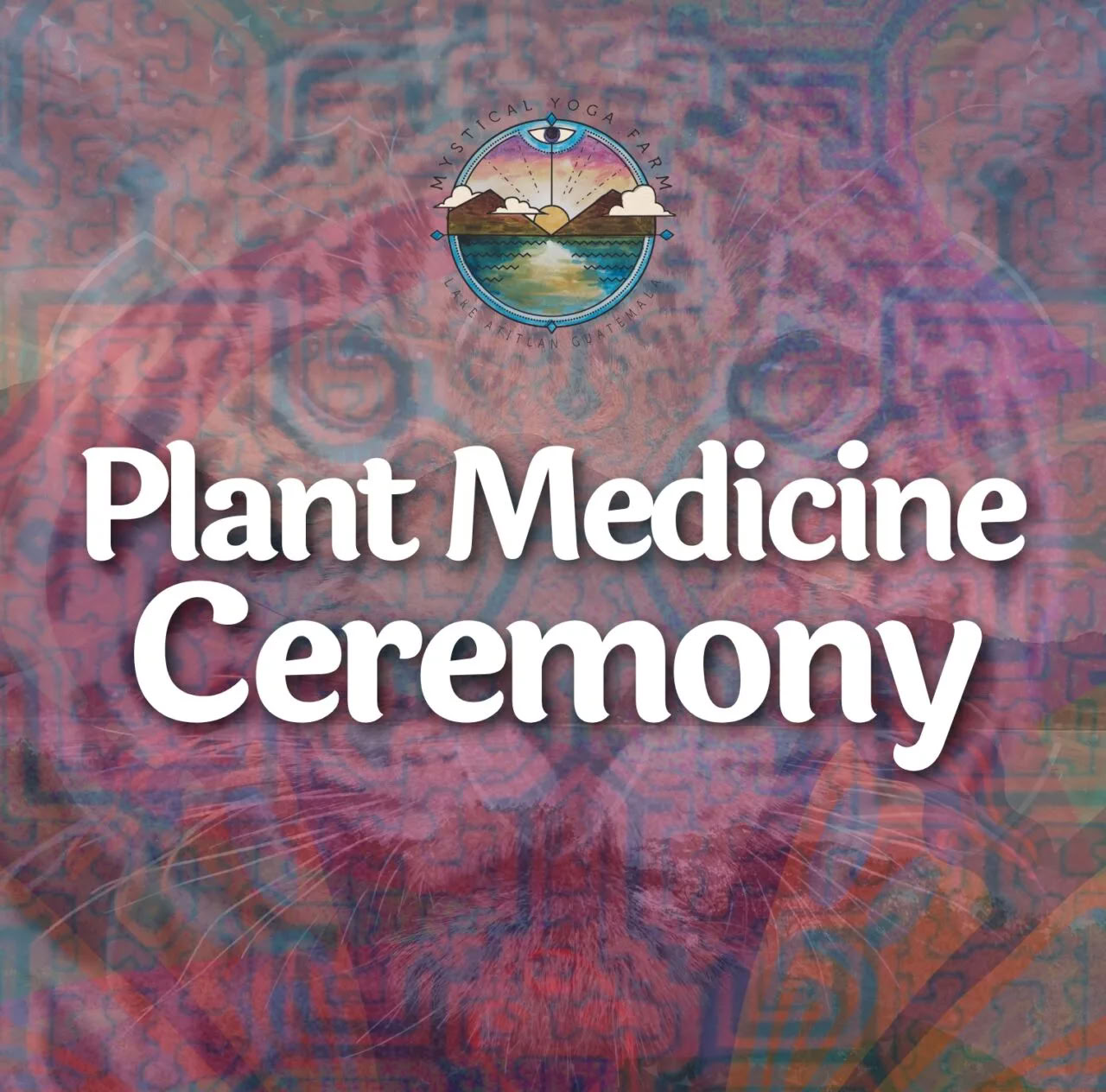 Plantemedicinske ceremonier