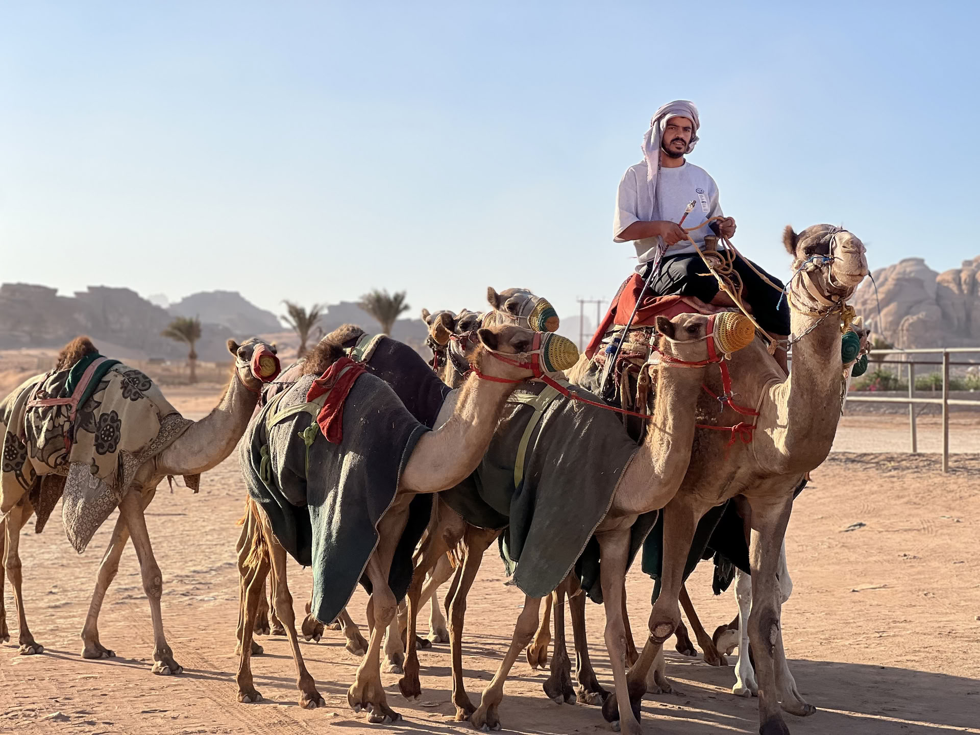 4 Dages Kameltrekking-eventyr med beduiner i Wadi Rum, Jordan