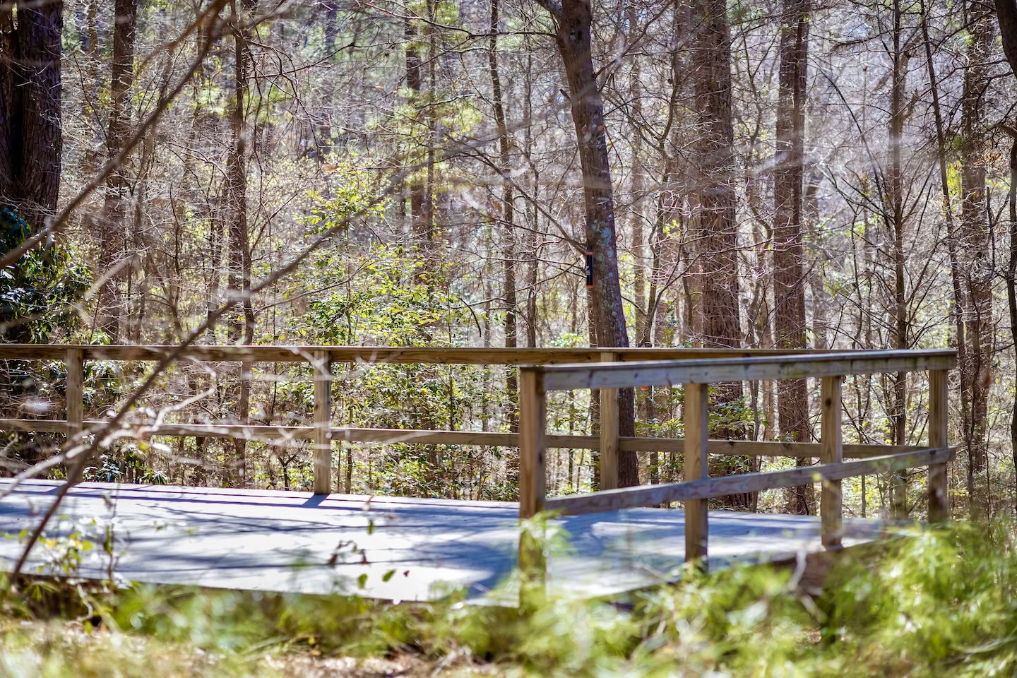 Mindfulness-retreats