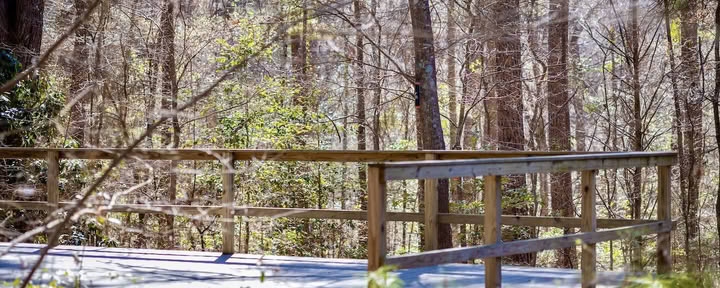 Mindfulness-retreats