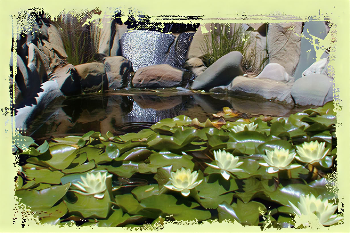 Yoga og kunsten at lave mindful mad