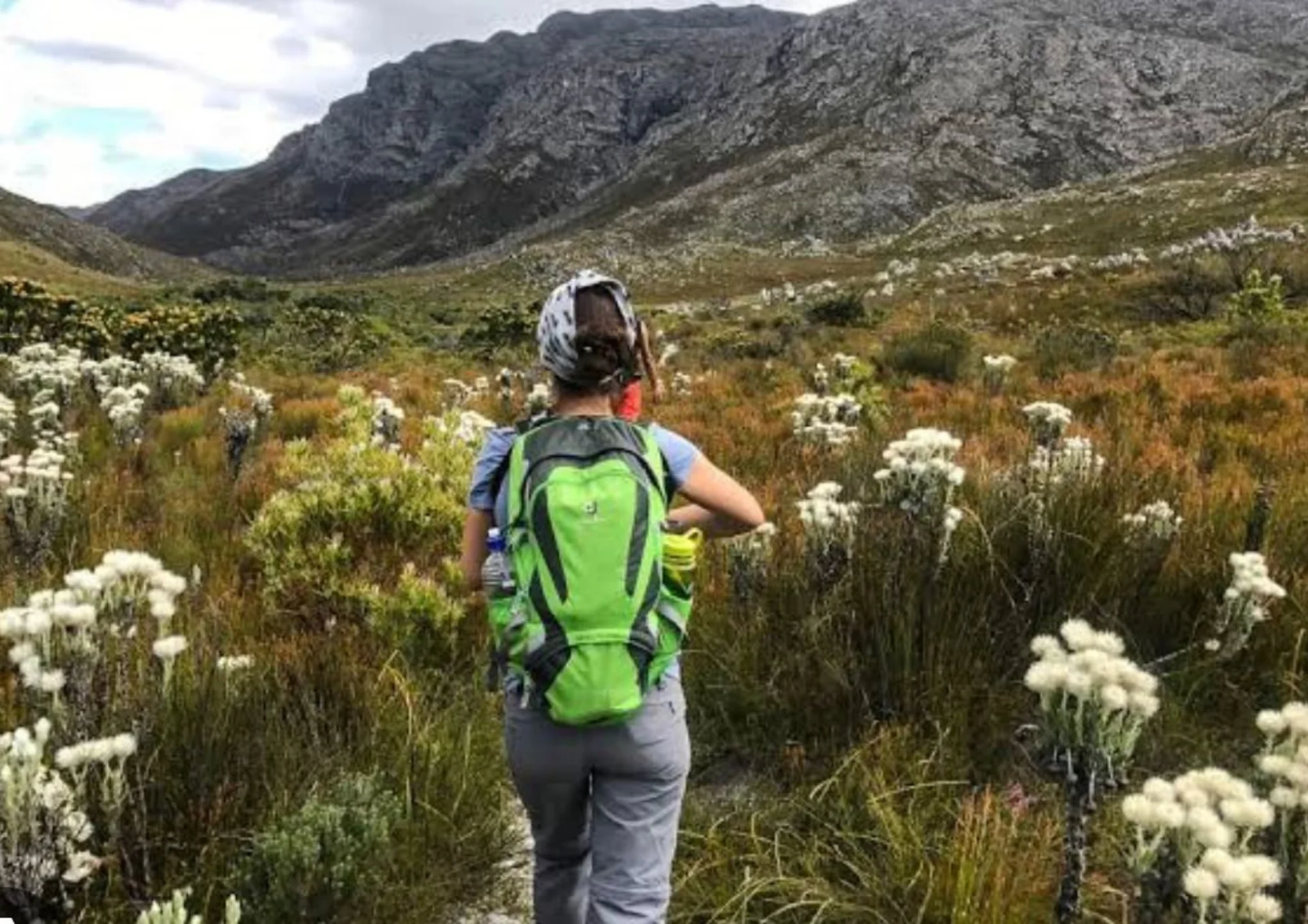 Den vilde blomsterpromenade