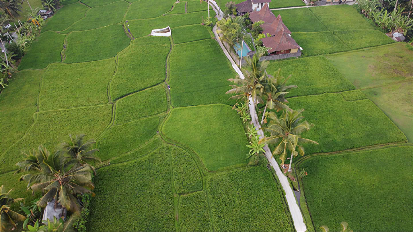 Din uge på et yoga-retreat på Bali