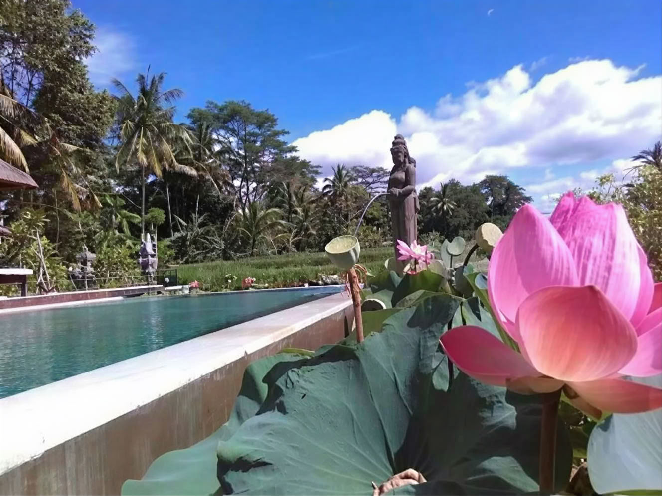 Din uge på et yoga-retreat på Bali