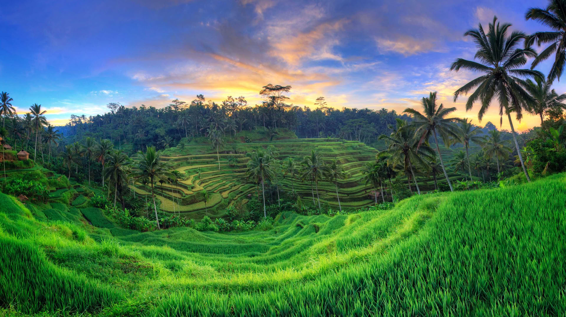 Uforglemmeligt 7-dages yoga-retreat på Firefly Retreat Bali