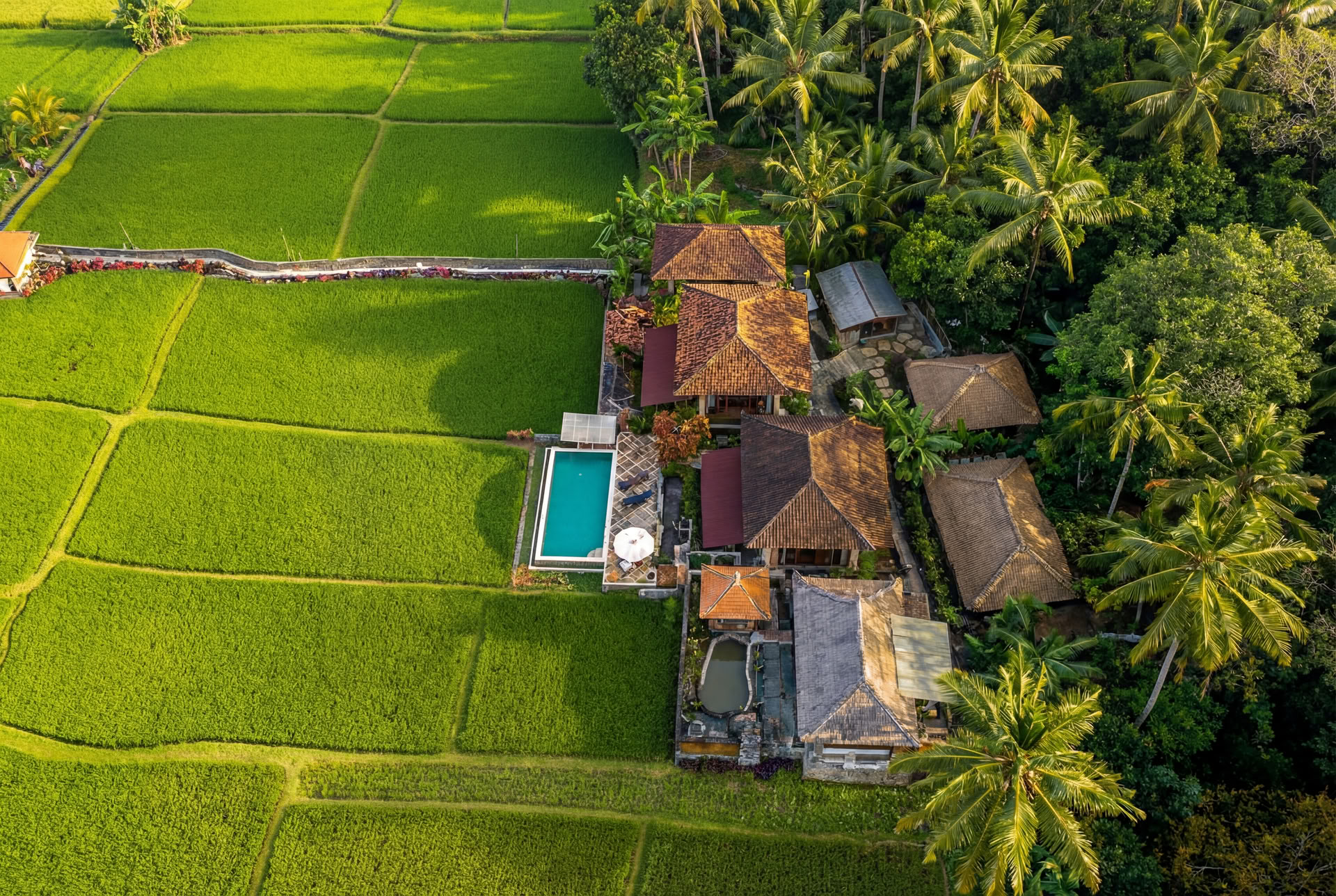 Uforglemmeligt 7-dages yoga-retreat på Firefly Retreat Bali