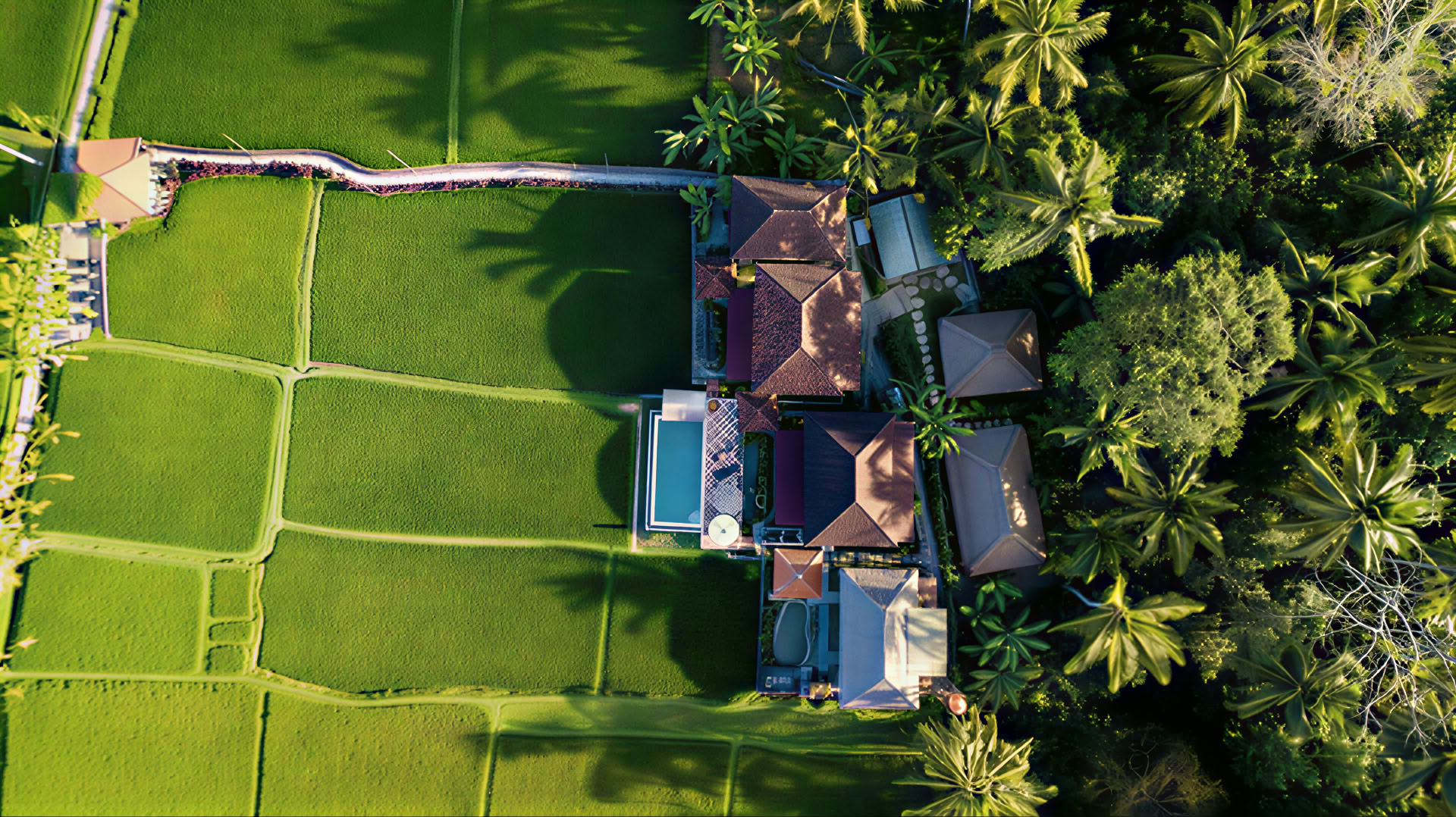 Uforglemmeligt 7-dages yoga-retreat på Firefly Retreat Bali
