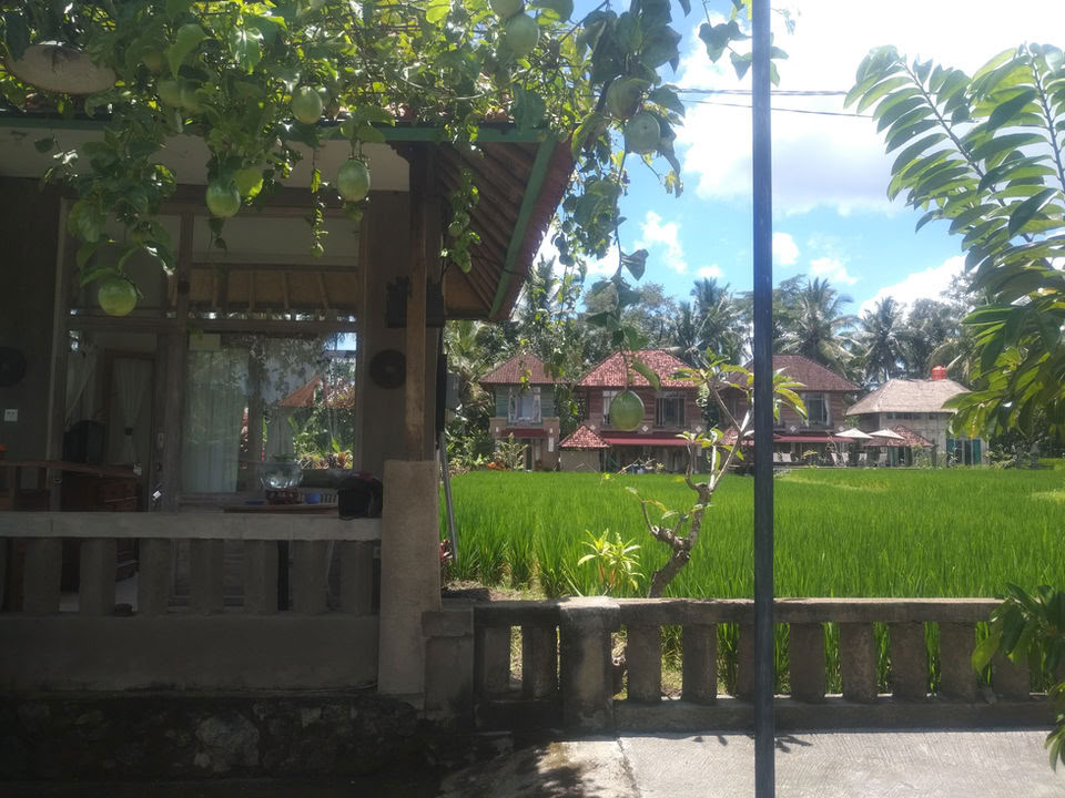 Uforglemmeligt 7-dages yoga-retreat på Firefly Retreat Bali