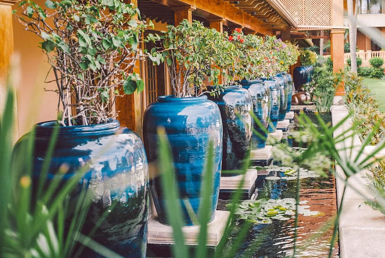 Luksuriøs wellness- og afslapningspause på det nordlige Tenerife