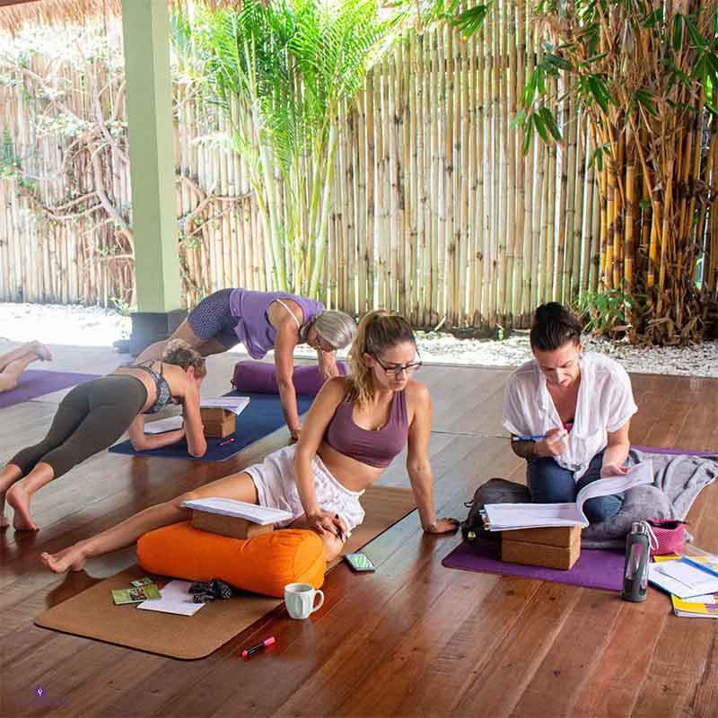 110 timers anatomi- og vinyasa-yogalæreruddannelse