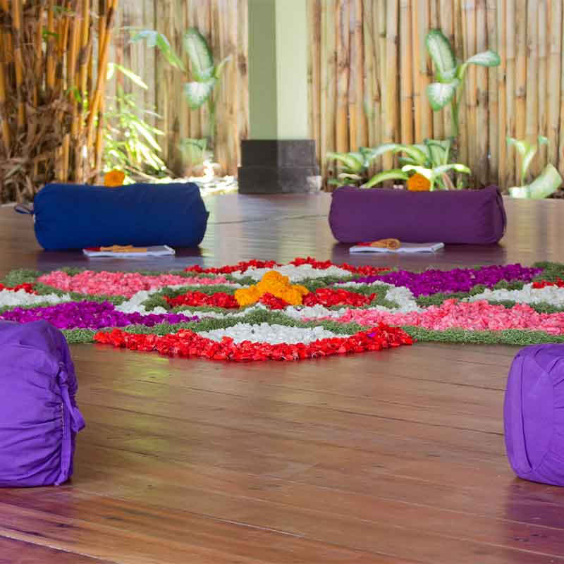 110 timers anatomi- og vinyasa-yogalæreruddannelse