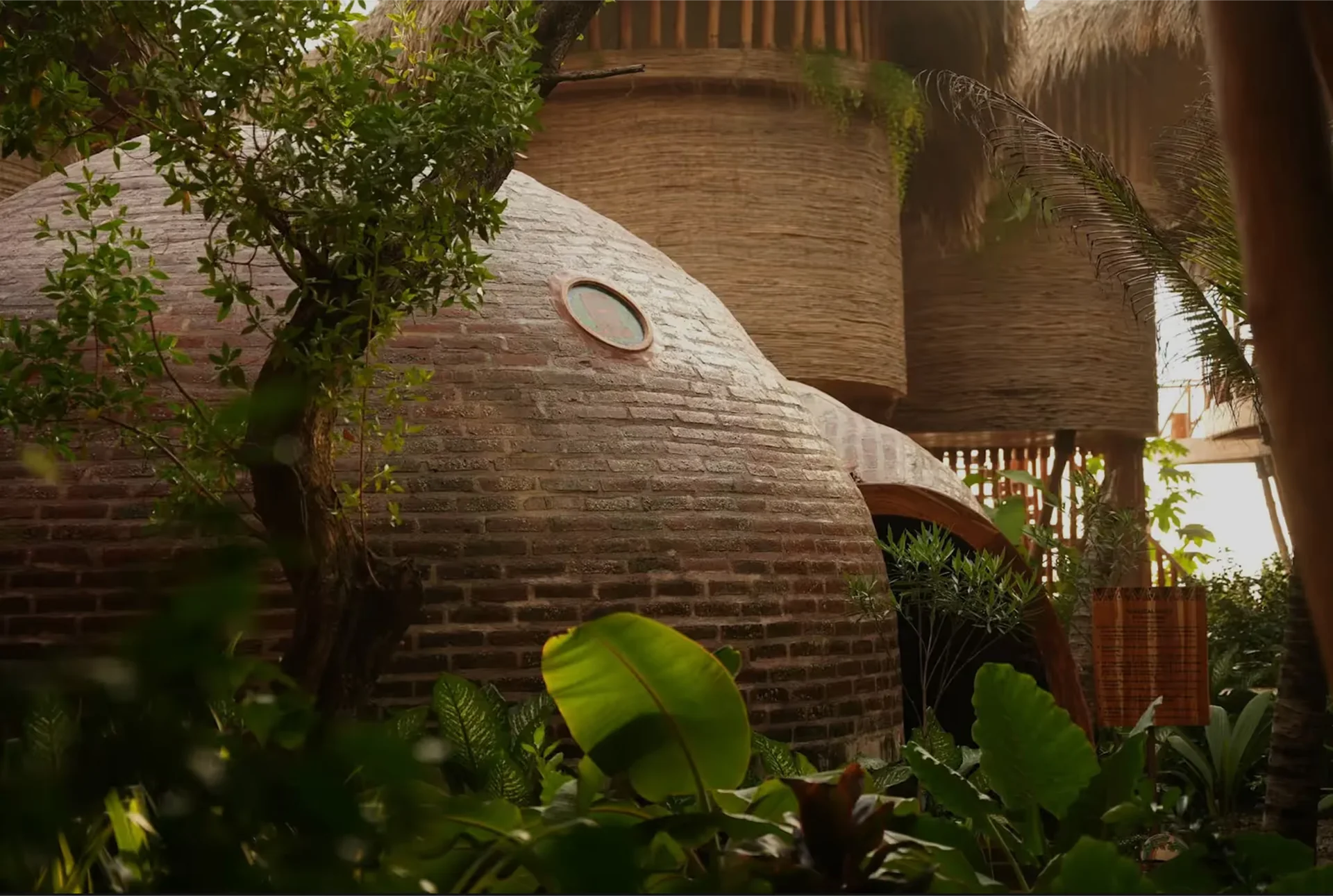 Temazcal-livmoder