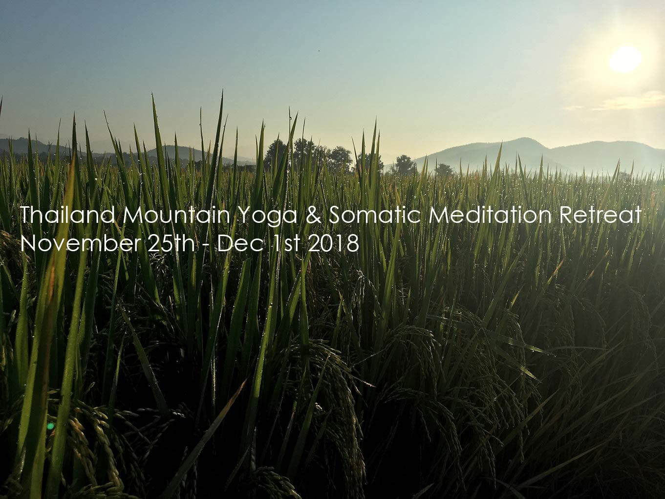 Somatisk meditationsyoga-retreat i Chiang Mai, Thailand