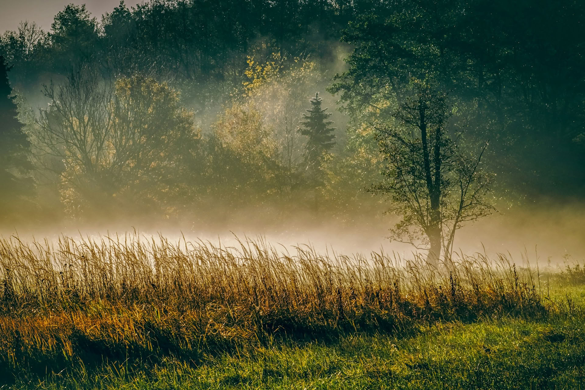 ForREST Retreat: Efterårsforankringsweekend — Wild Nature Retreats