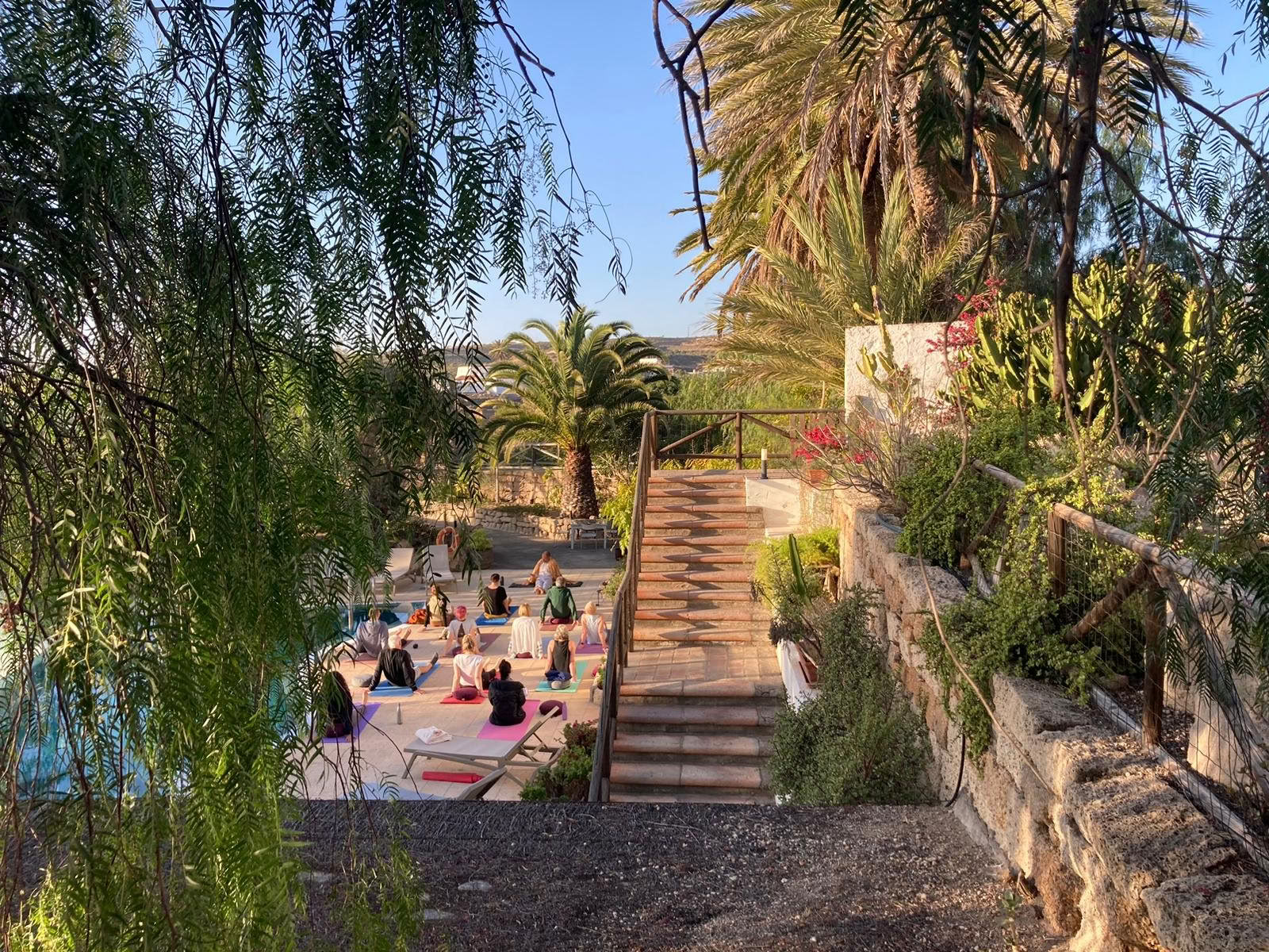 8 dages mindfulness- og yoga-retreat på Tenerife