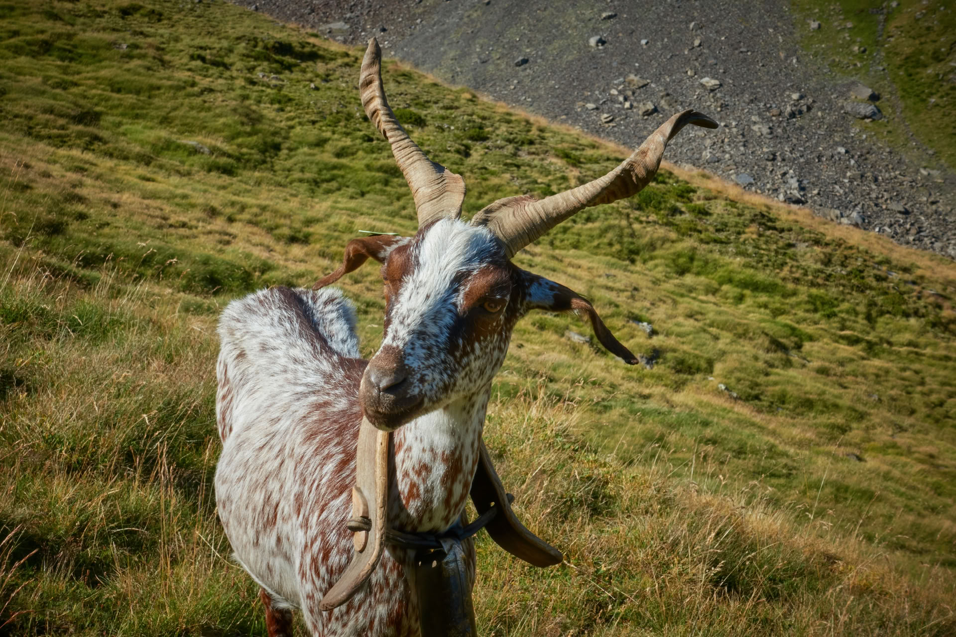 At Gøre Det På Min Måde