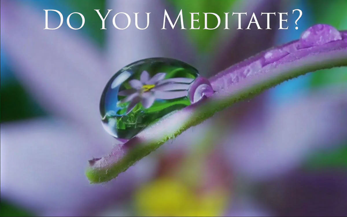 Meditere du