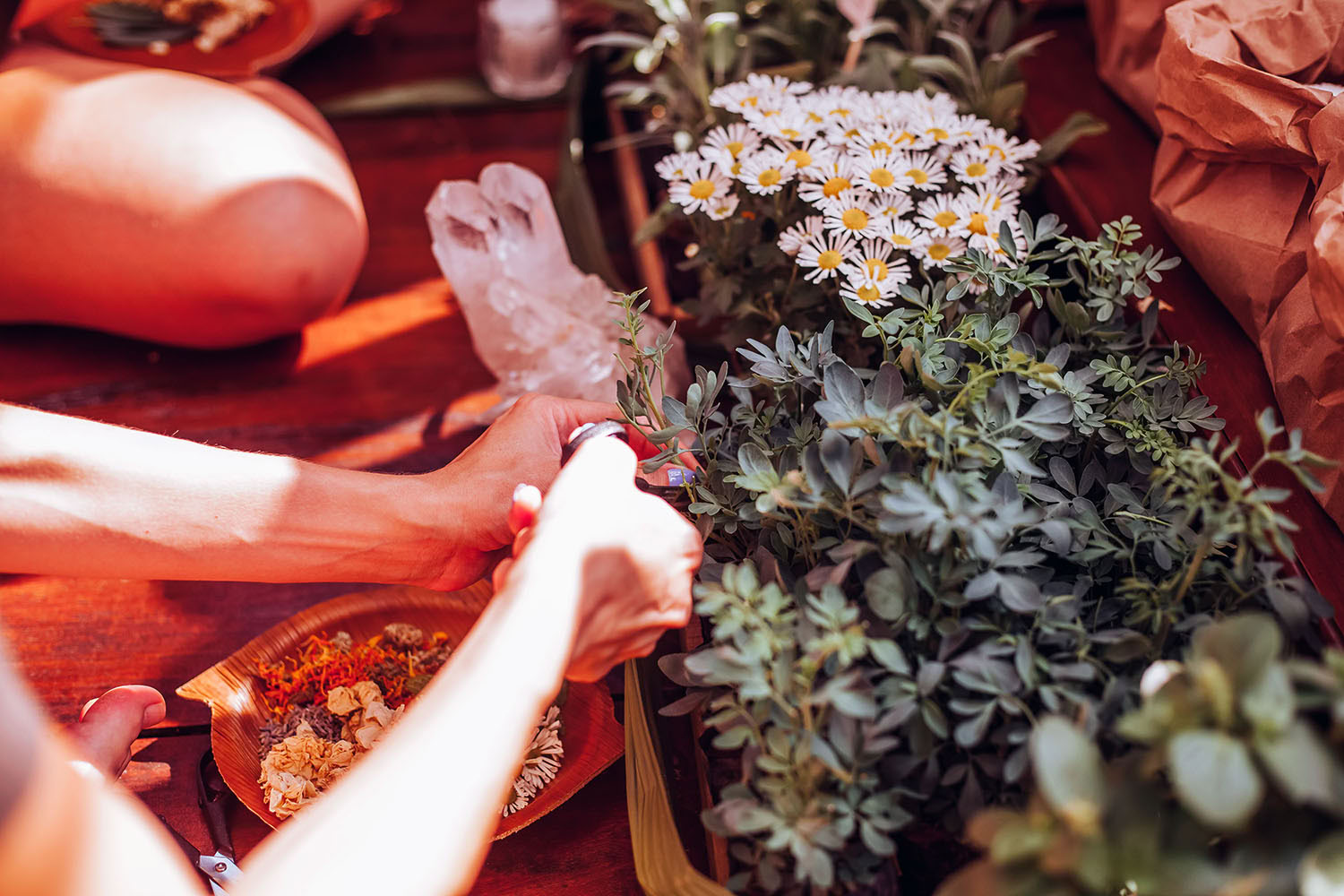 Phoenix-retreat – Kraften er i dig