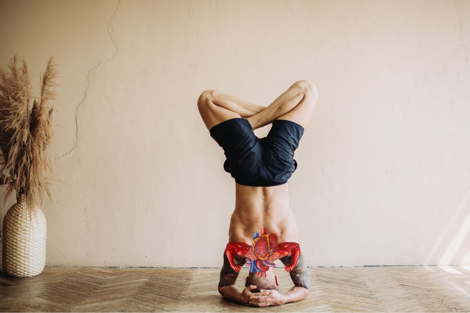Yogaterapi for åndedrætssundhed (Cardio-Breath Fusion)